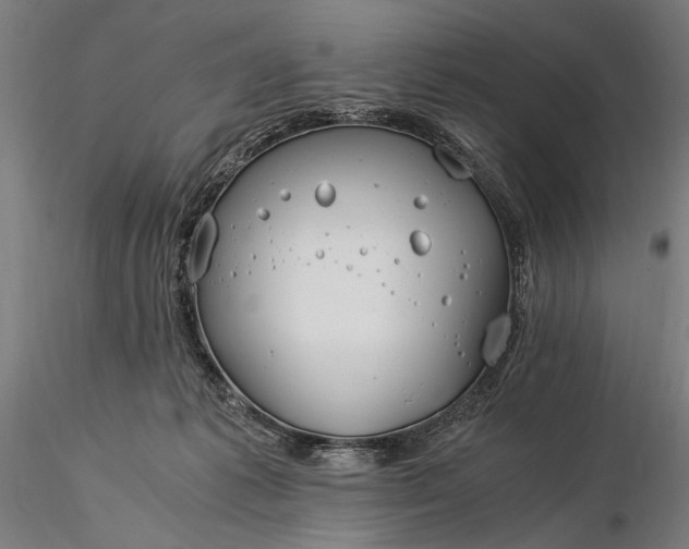 X0000116390221200912161532