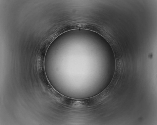 X0000116390222200912161531