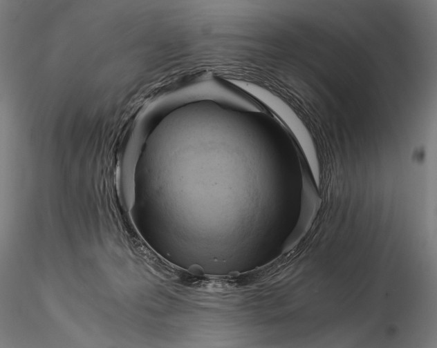 X0000116390223200912161531