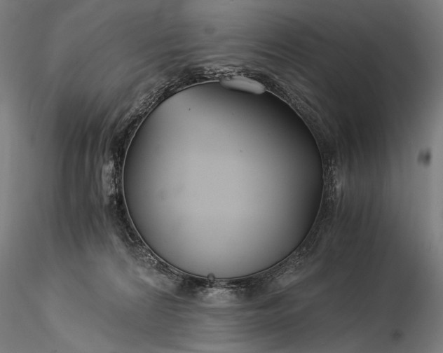 X0000116390224200912161531