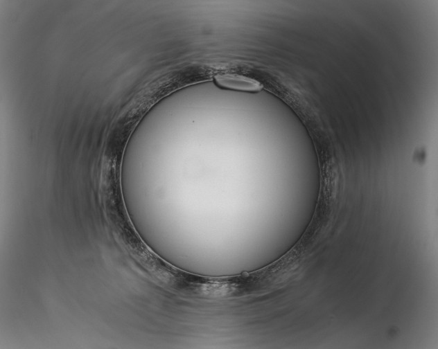 X0000116390225200912161531