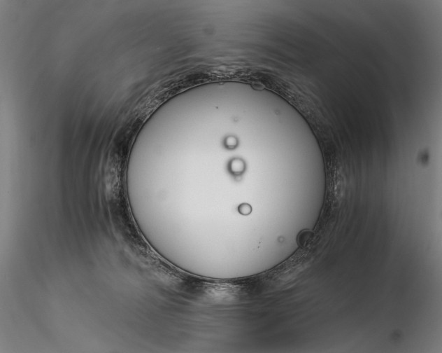 X0000116390226200912161531