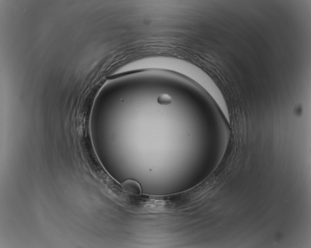 X0000116390227200912161531