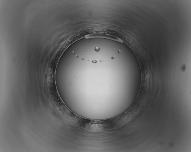 X0000116390228200912161531