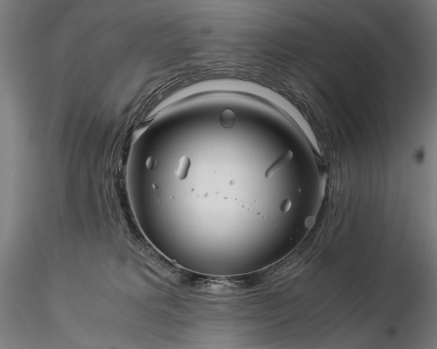 X0000116390229200912161531