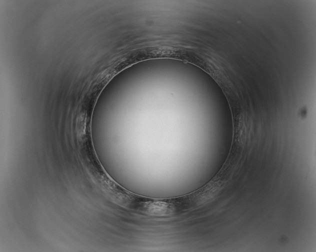 X0000116390230200912161531