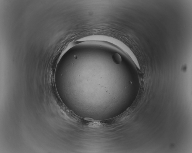 X0000116390231200912161531