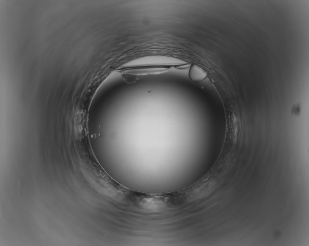 X0000116390232200912161531