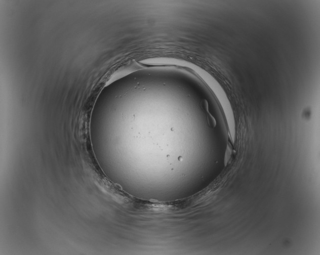X0000116390233200912161531