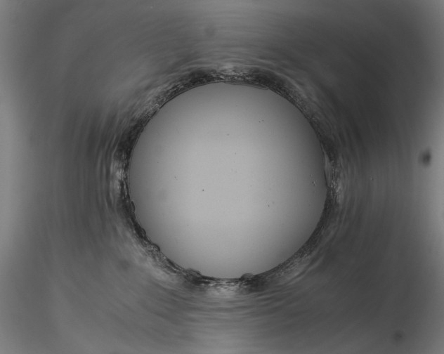 X0000116390235200912161531