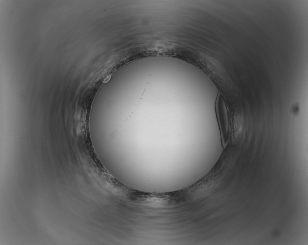 X0000116390236200912161531