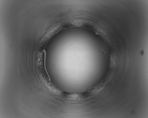 X0000116390237200912161531