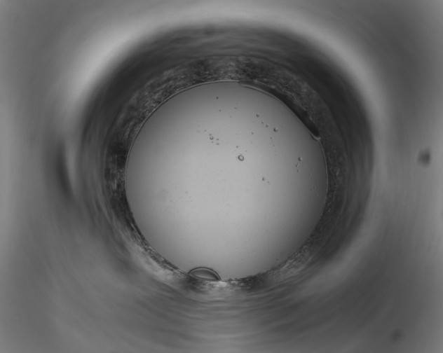 X0000116390239200912161531