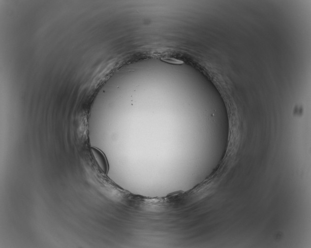 X0000116390240200912161531