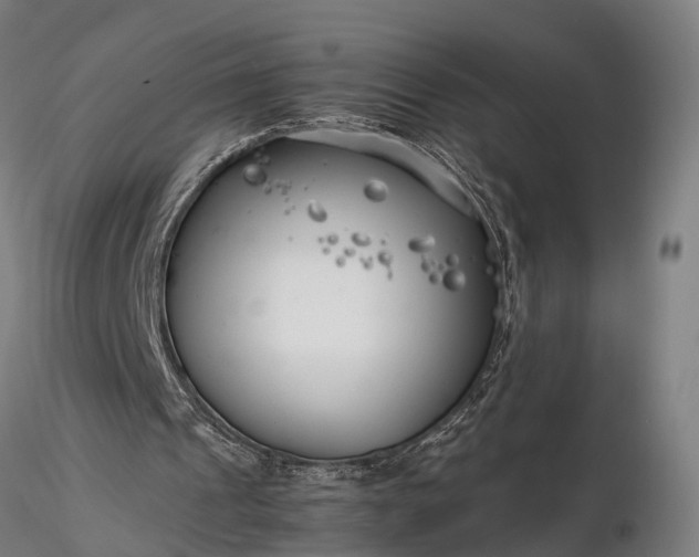 X0000116390241200912161531