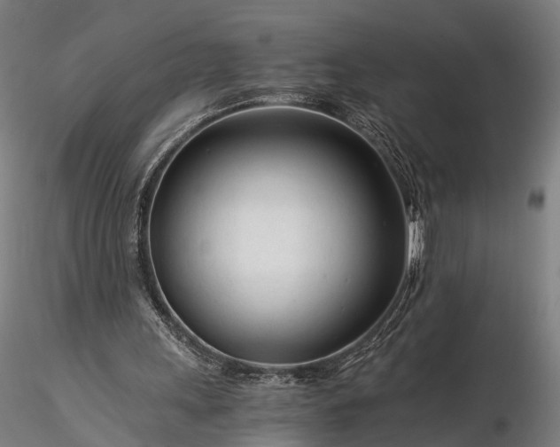 X0000116390243200912161531