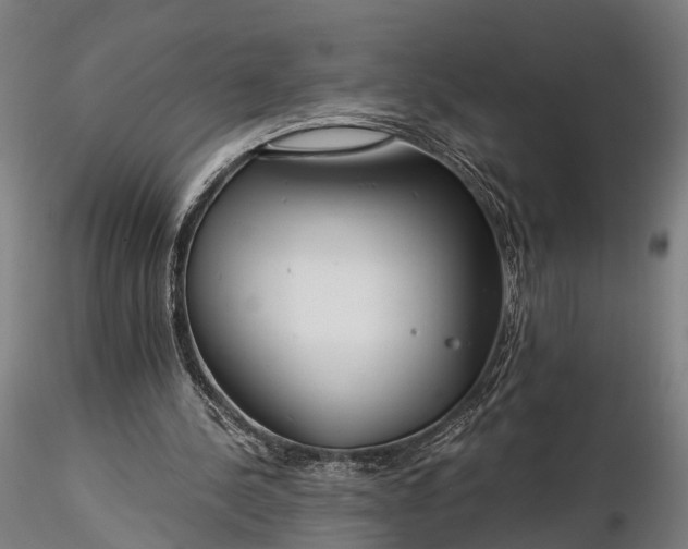 X0000116390244200912161531