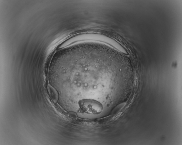 X0000116390245200912161531