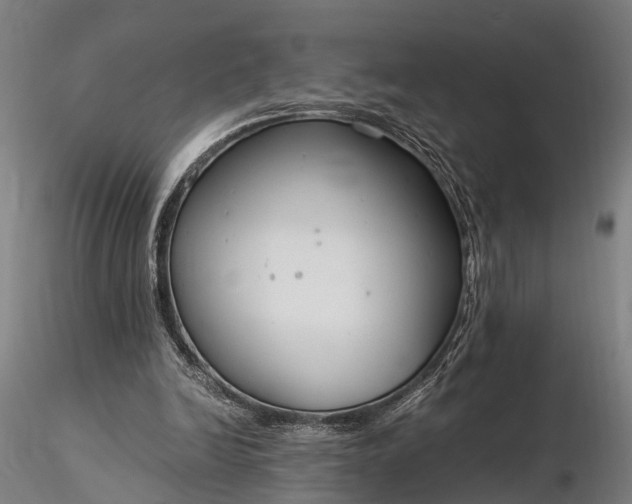 X0000116390246200912161531
