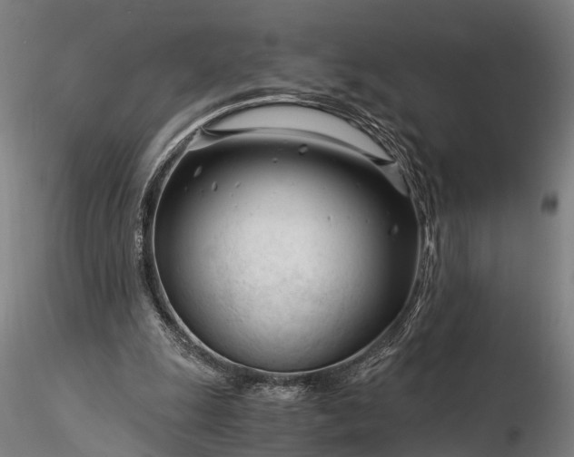 X0000116390247200912161531