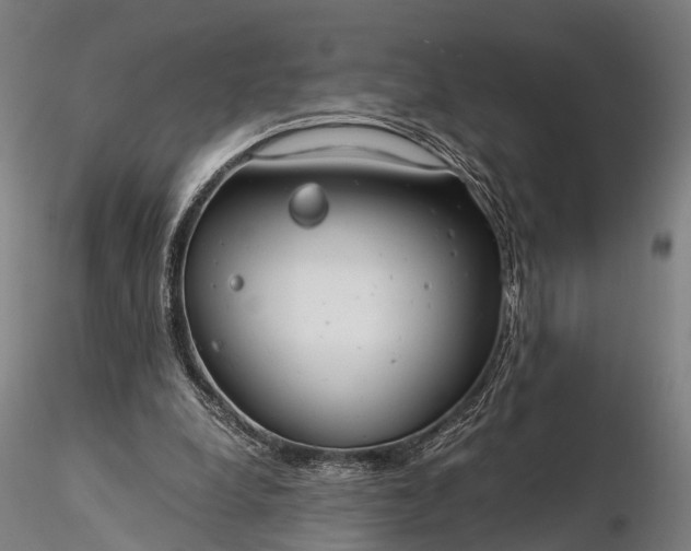 X0000116390248200912161531