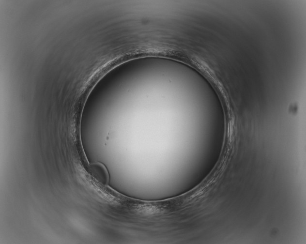 X0000116390249200912161531