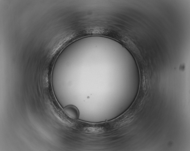 X0000116390251200912161531
