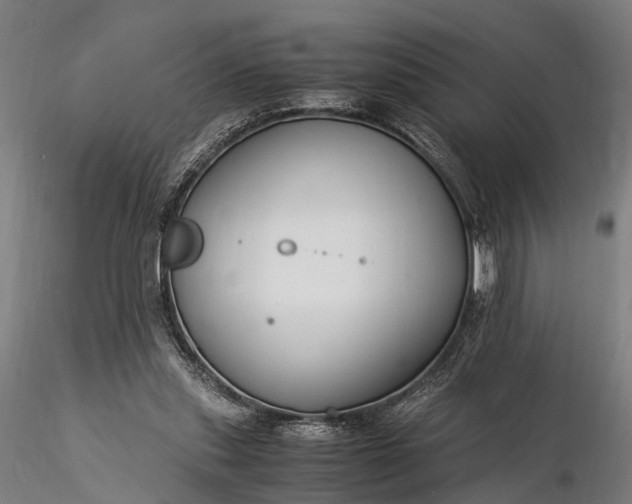 X0000116390253200912161531
