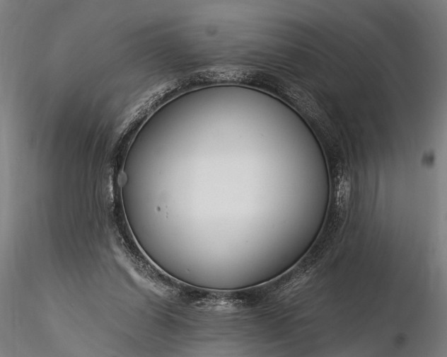 X0000116390254200912161531