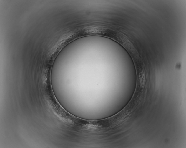 X0000116390255200912161531