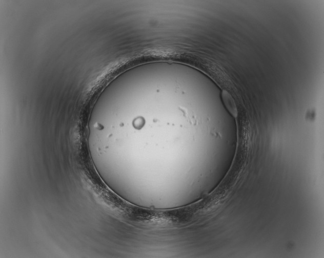 X0000116390256200912161531