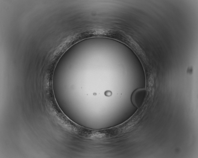 X0000116390257200912161531