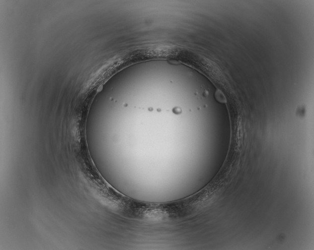 X0000116390258200912161531