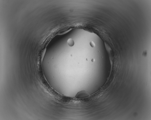 X0000116390260200912161531