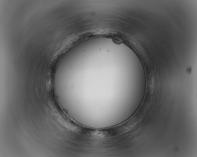 X0000116390261200912161531