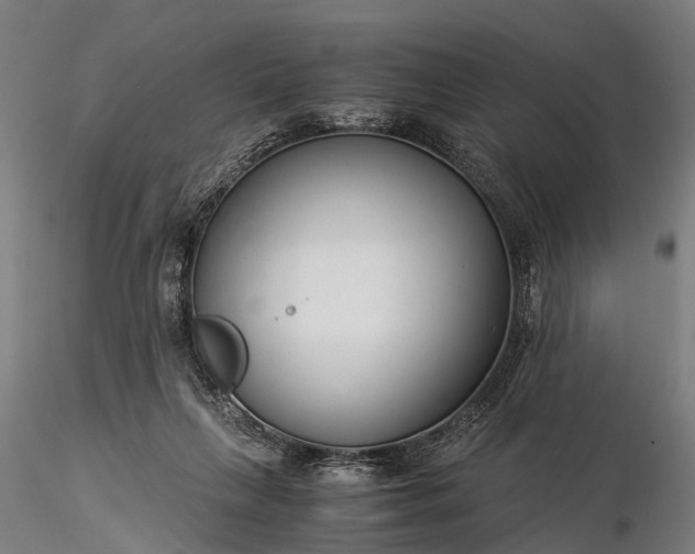 X0000116390263200912161531