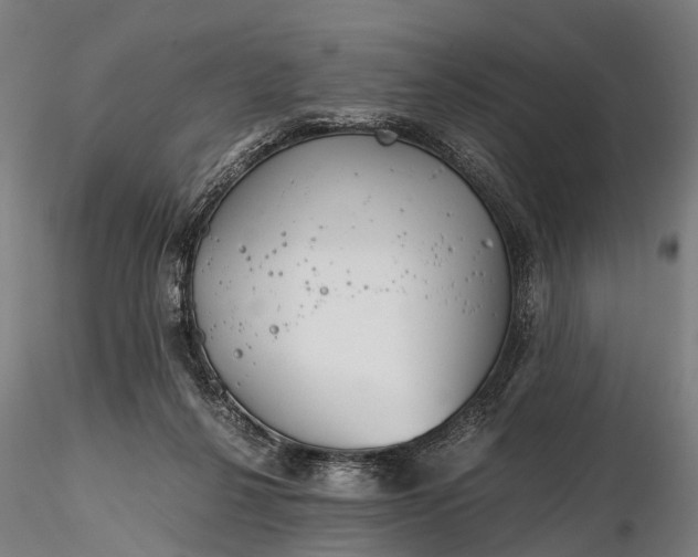 X0000116390264200912161531