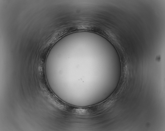 X0000116390265200912161531