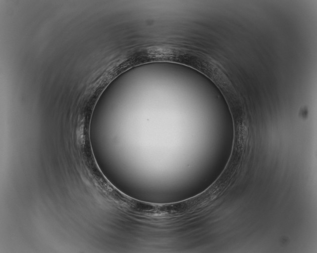 X0000116390267200912161531