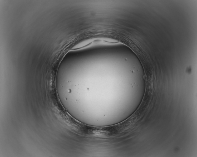 X0000116390268200912161531