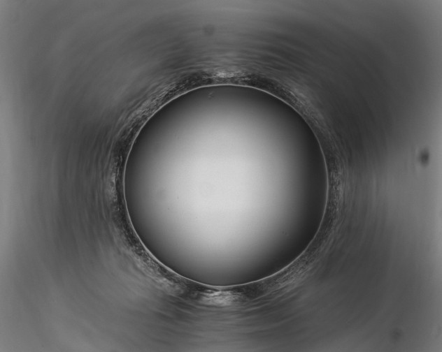X0000116390269200912161531