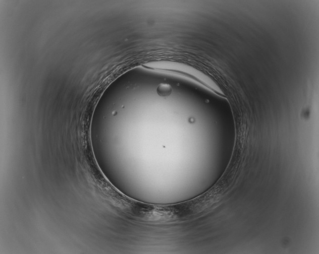 X0000116390270200912161531