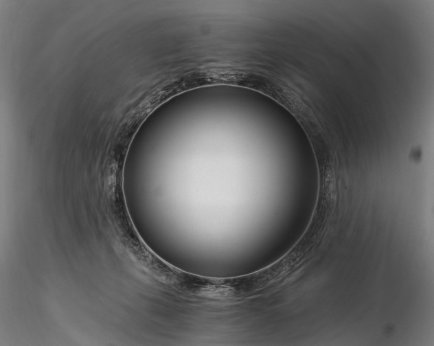 X0000116390271200912161531