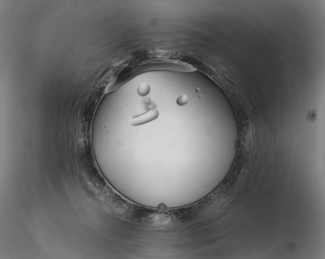 X0000116390272200912161531