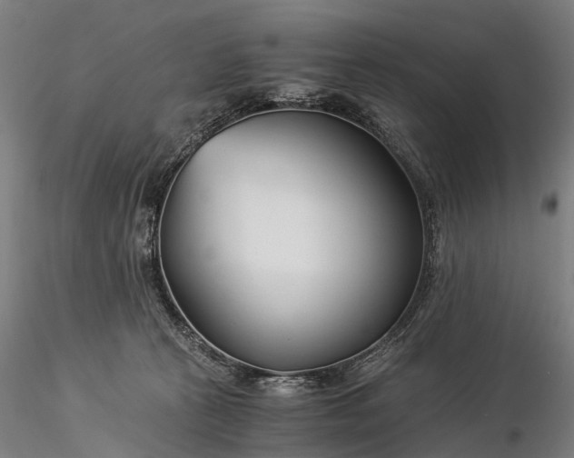 X0000116390273200912161531