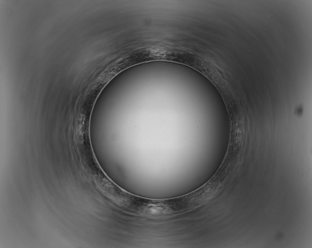 X0000116390275200912161531