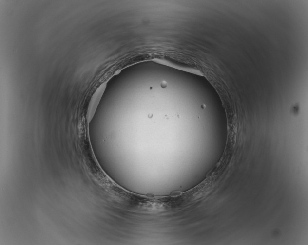 X0000116390276200912161531
