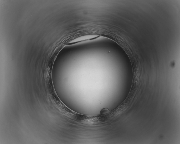 X0000116390278200912161531