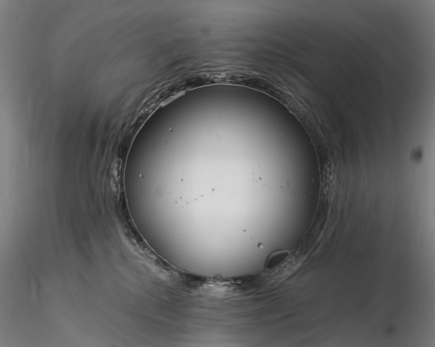 X0000116390280200912161531