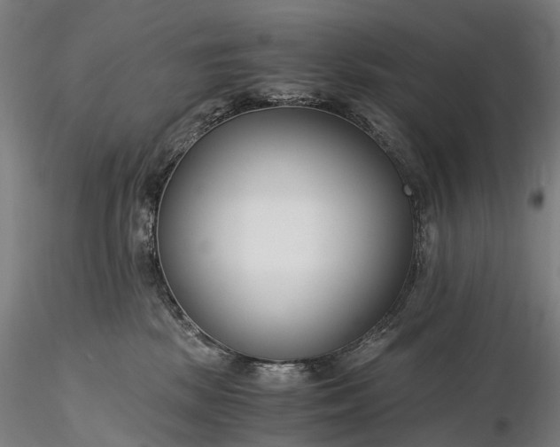 X0000116390281200912161531